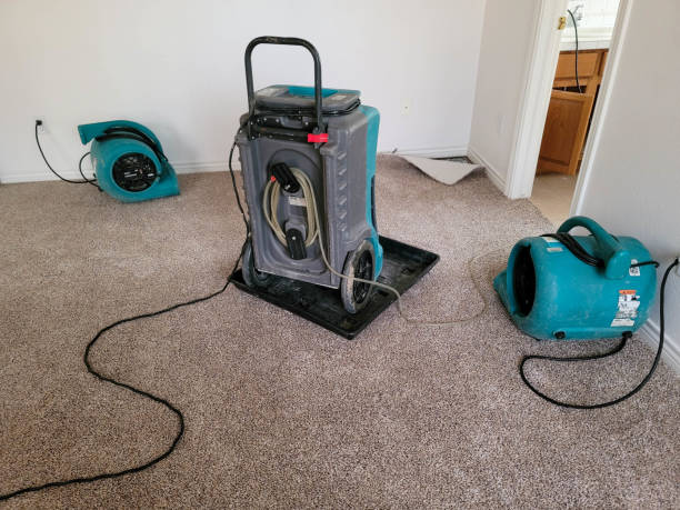 Best Sewage cleanup and water damage restoration  in Mked Tree, AR