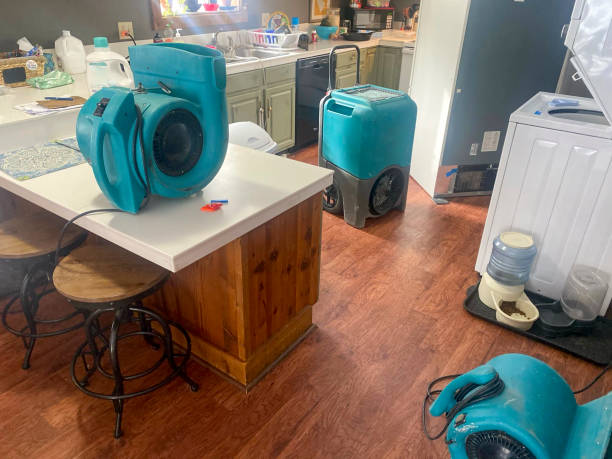  Mked Tree, AR Water damage restoration Pros