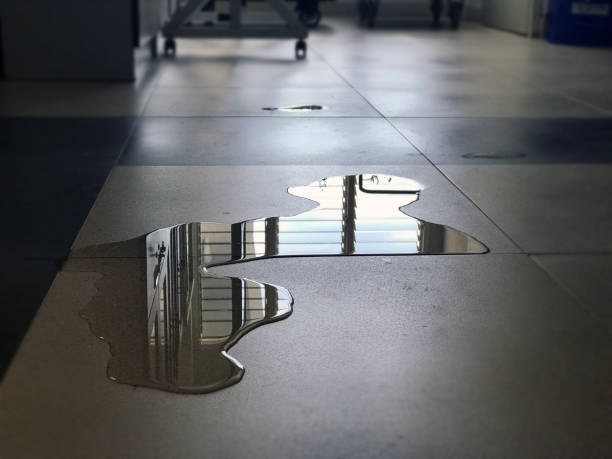 Best Water damage restoration services  in Mked Tree, AR