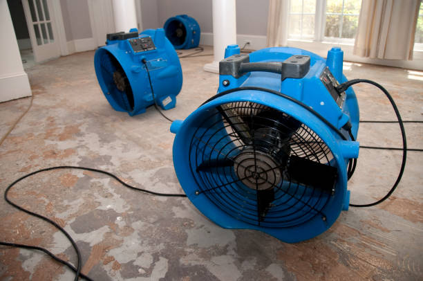 Best Local water damage restoration  in Mked Tree, AR