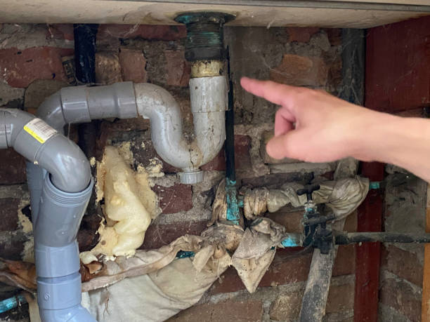 Best Carpet water damage restoration  in Mked Tree, AR