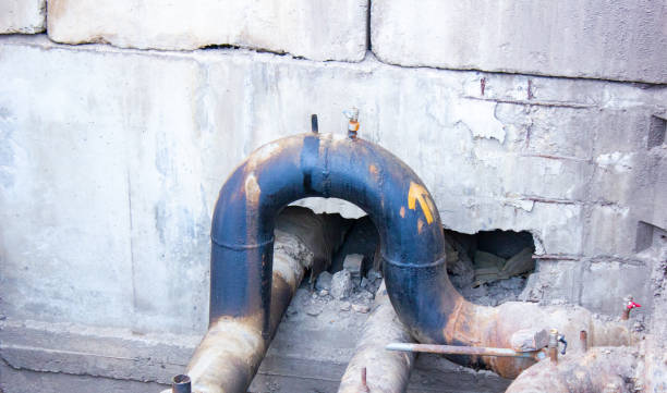Best Water damage restoration near me  in Mked Tree, AR