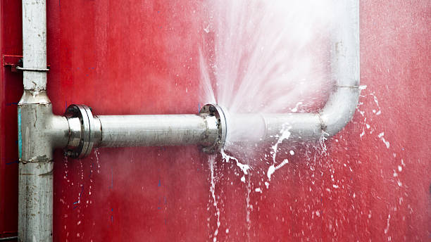 Best Water damage restoration near me  in Mked Tree, AR